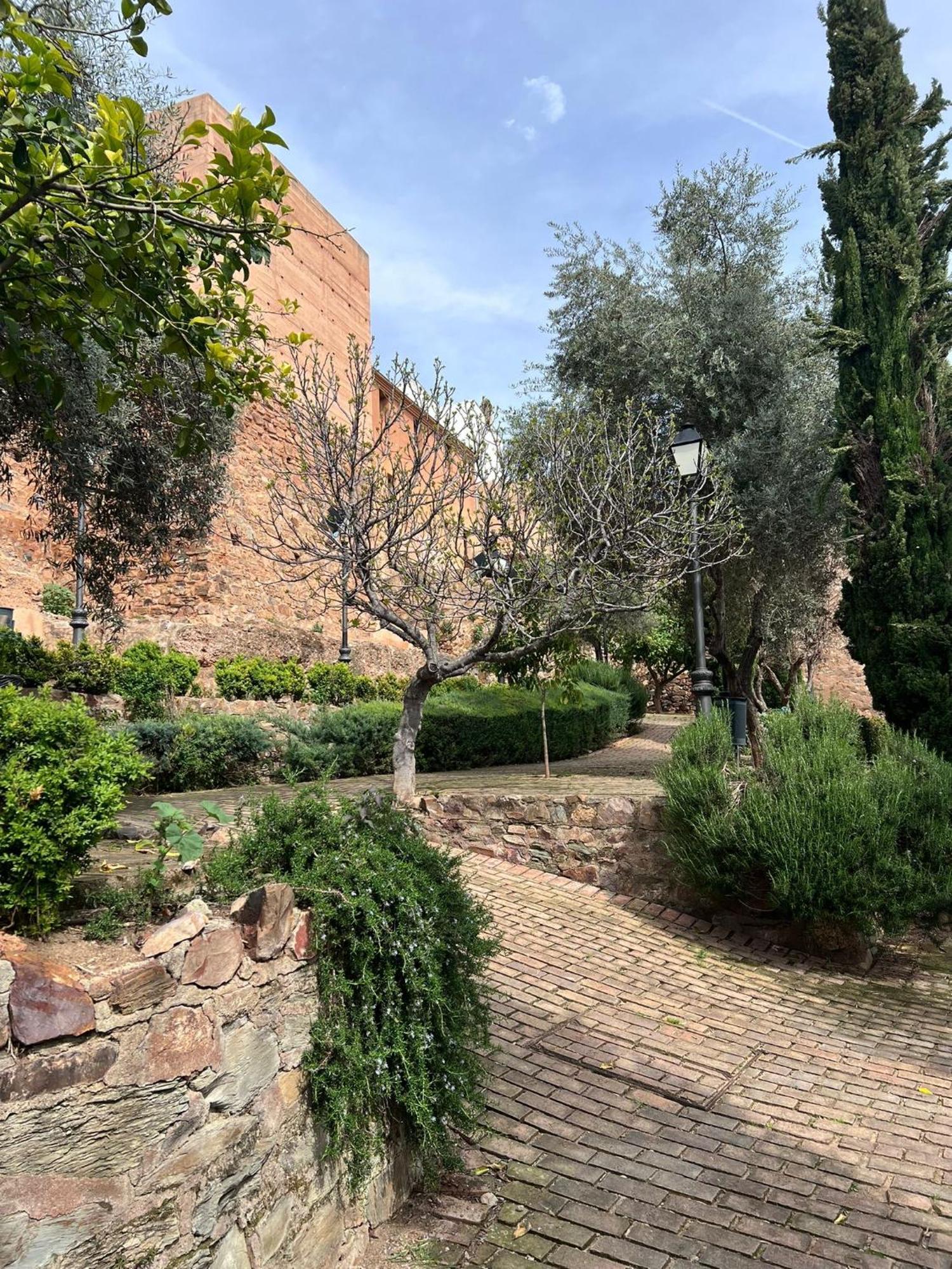 La Terraza De Consolacion 17 Caceres Bagian luar foto